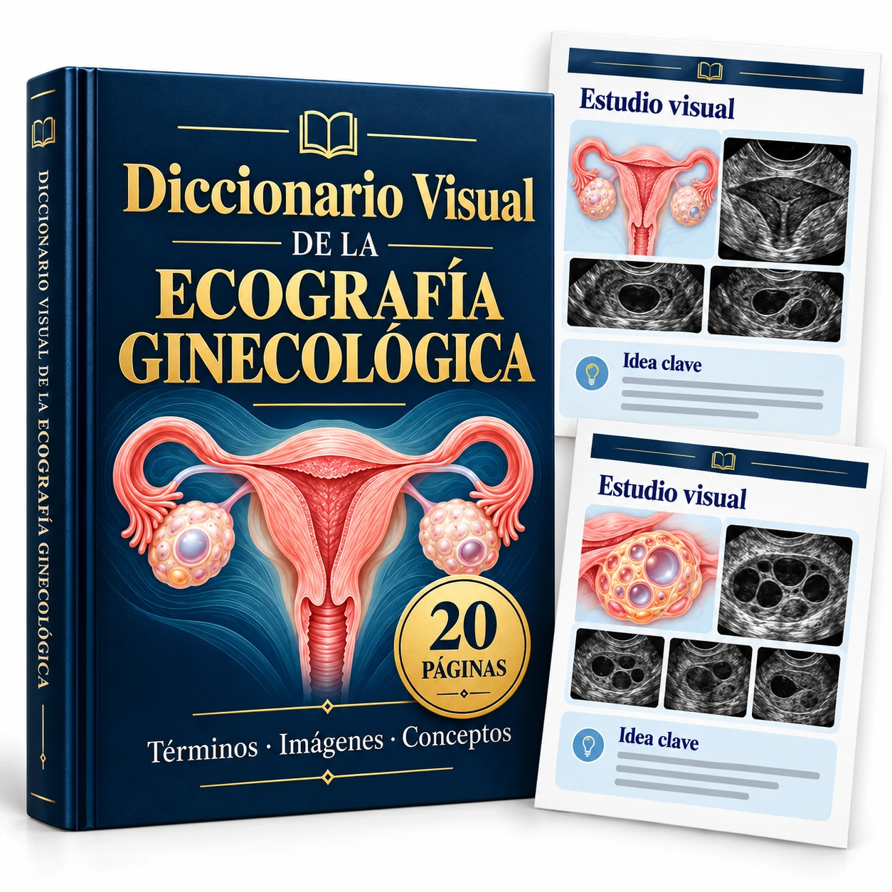 Diccionario Visual de la Ecografía Ginecológica