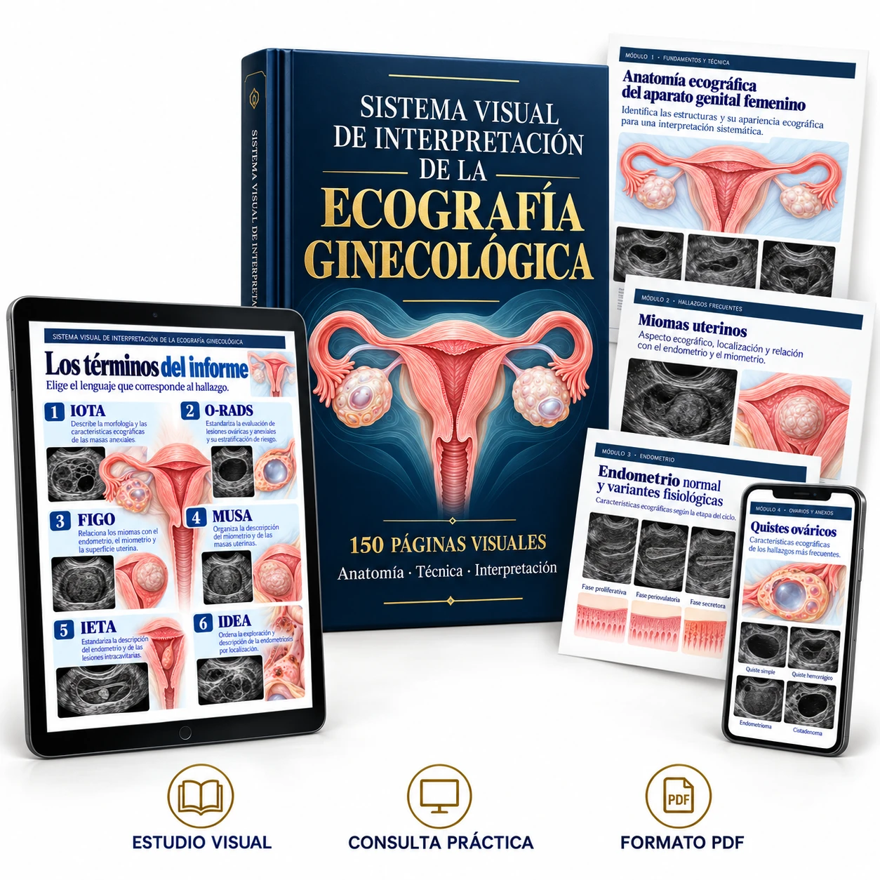 Mockup digital: Sistema Visual de Interpretación de la Ecografía Ginecológica